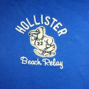 Hollister hoodie zip up